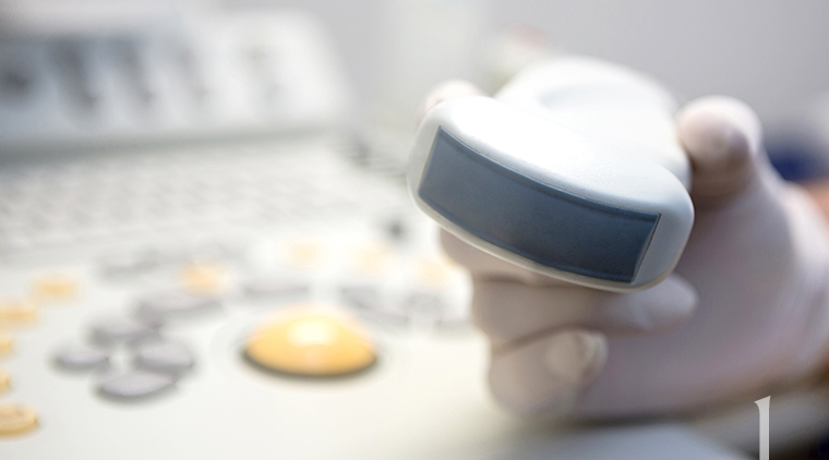 초음파 장비로 안전하게 지방층 분석