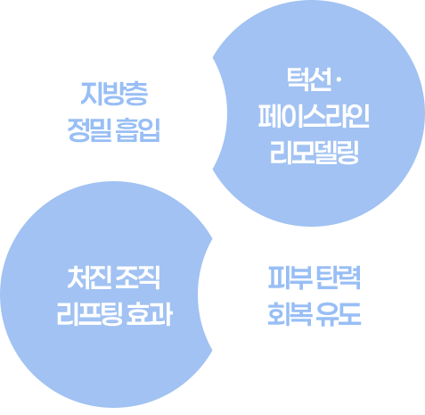 지방을 버리는 방식이 아니라 라인을 설계하는 방식