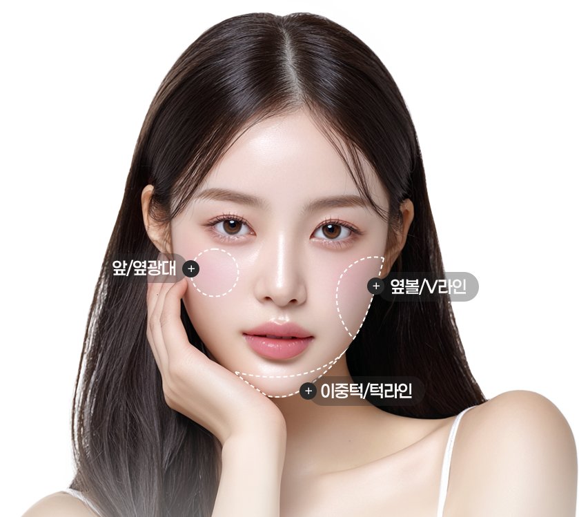 맥스V리프팅 시술 부위