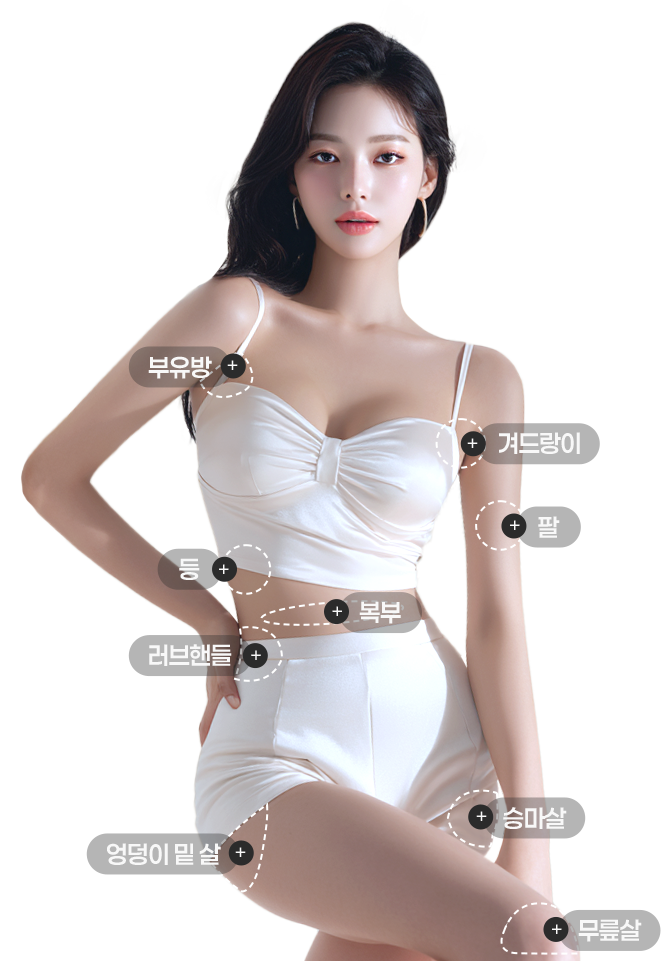 바디지방흡입 시술 부위