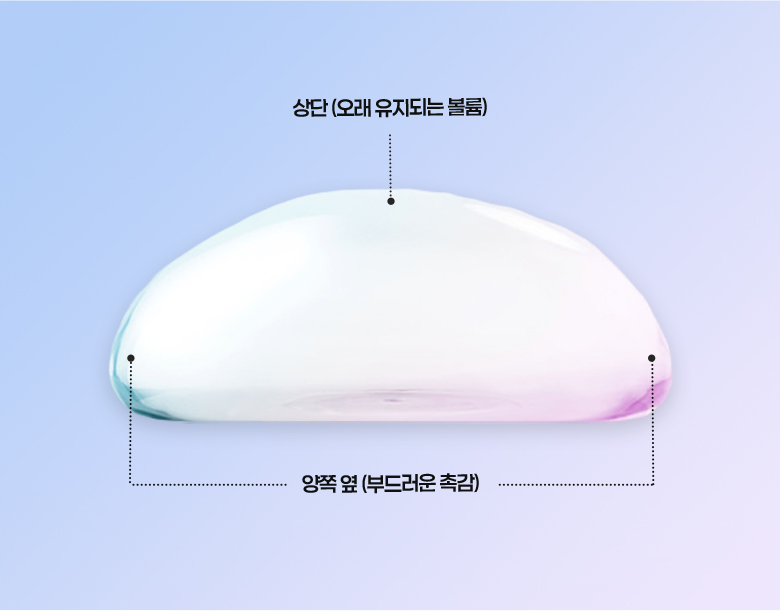 멘토 포인트 이미지