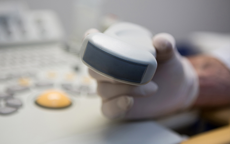 초음파 장비로 안전하게 지방층 분석