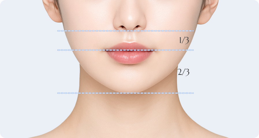 이상적인 인중의 비율