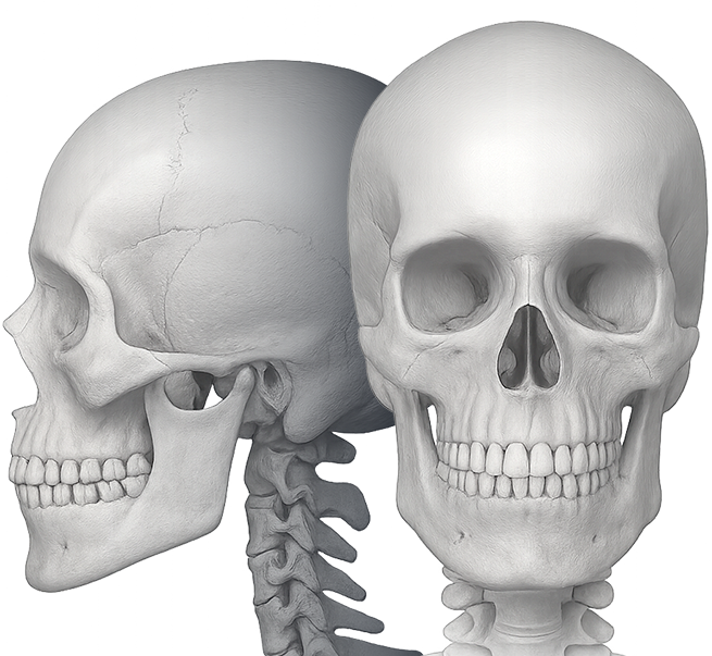 재수술 전 정밀 분석 시스템